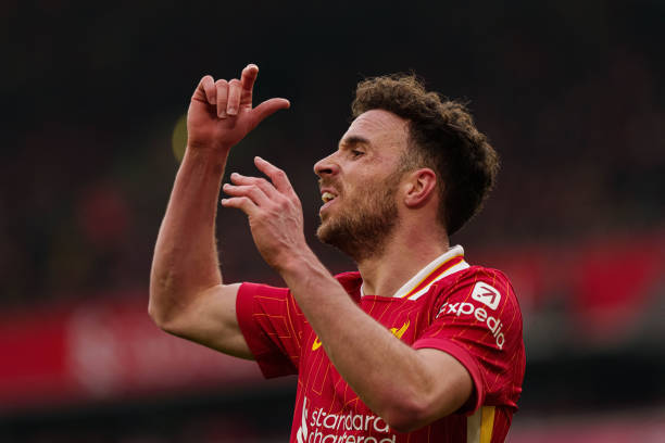 情节上有全 情节上有全