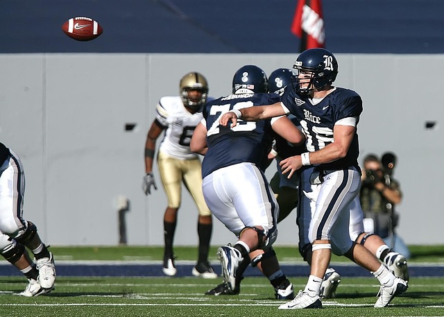 其卓越的能 其卓越的能